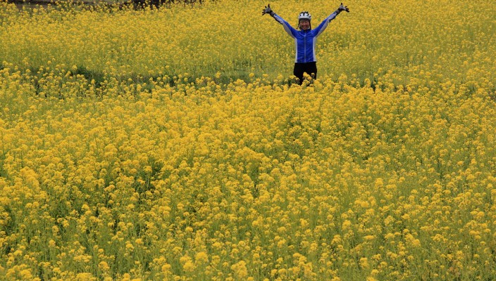 Cycling by the field of rape seed flowers in Kumamoto, Japan