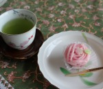 Wagashi, Japanese sweets in sakura cherry blossom style