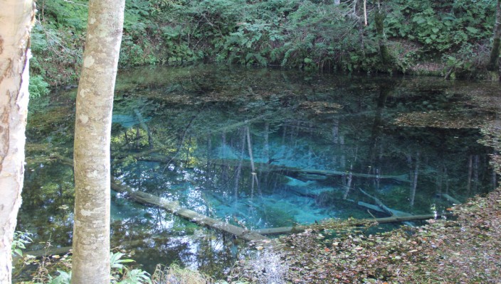Godly clear blue pond in Hokkaido, Japan
