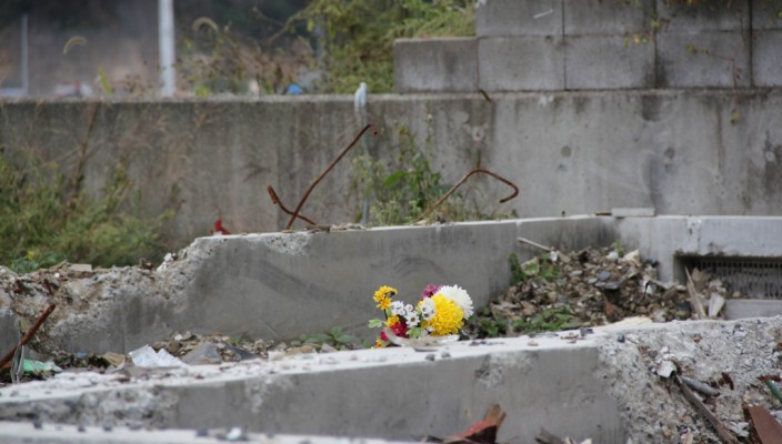 Flowers in the Tsunami Aftersite in Northern Japan